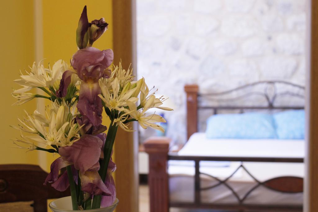 Apartments Jelena كوتور الغرفة الصورة